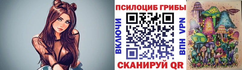 Галлюциногенные грибы Psilocybe  Ворсма 
